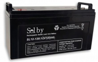 Аккумуляторная батарея Solby SL12-200 